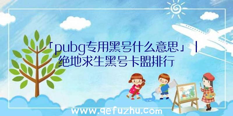 「pubg专用黑号什么意思」|绝地求生黑号卡盟排行